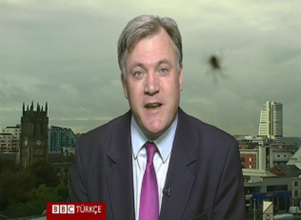 BBC stüdyosunun örümceği görev başında