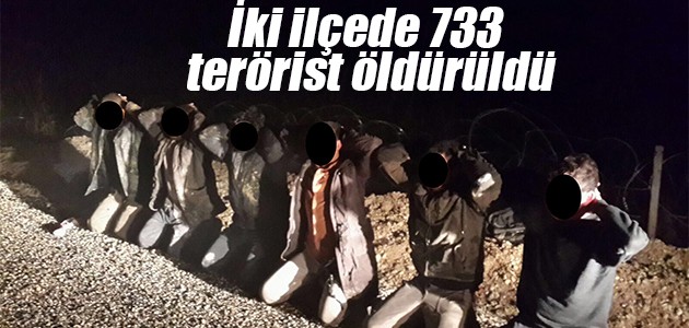 İki ilçede 733 terörist öldürüldü