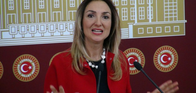 Nazlıaka’nın CHP’den ihracının iptal talebi reddedildi