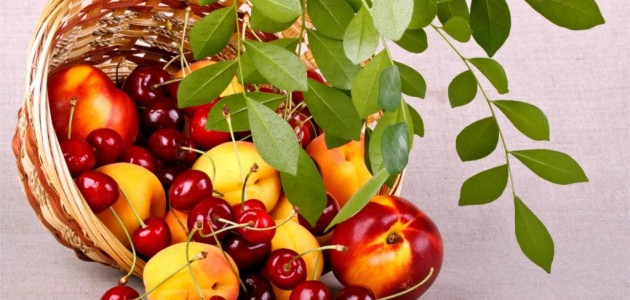 “Taş çekirdekli“ meyvelerin ekonomiye katkısı 5,6 milyar lira