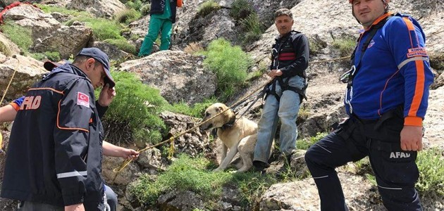 Konya’da 7 gündür mahsur kalan köpek kurtarıldı