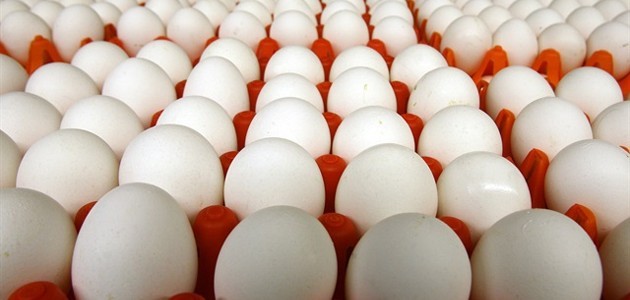 “Yumurta fiyatları yılın en düşük seviyesinde“