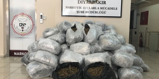 Diyarbakır’da 442 kilogram esrar ele geçirildi