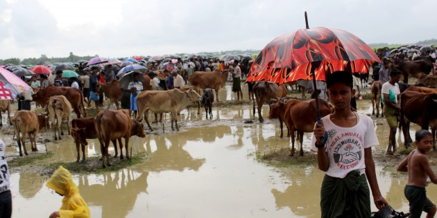 Bangladeş’e sığınan Arakanlı sayısı 313 bin oldu