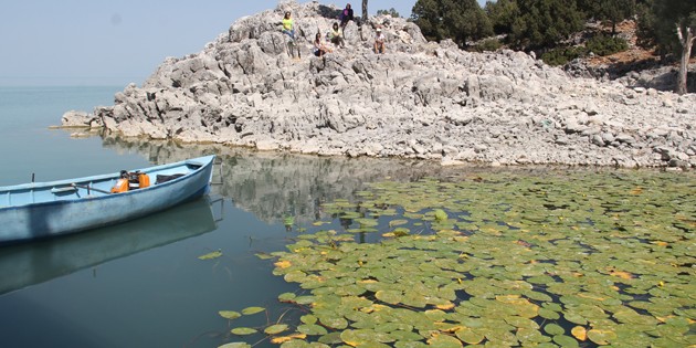 Doğaseverlere Beyşehir Gölü’ndeki Hacıakif Adası tanıtıldı
