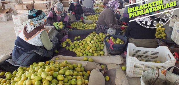 Kıbrıs limonunu sıktı, 8 ülkeye sattı