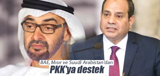 BAE, Mısır ve Suudi Arabistan’dan PKK’ya destek