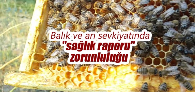 Balık ve arı sevkiyatında “sağlık raporu“ zorunluluğu