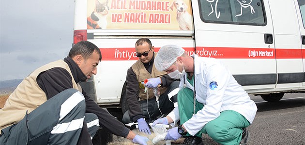 Konya’da hayvanlar için acil müdahale ekibi