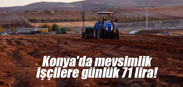 Konya’da mevsimlik işçilere günlük 71 lira!
