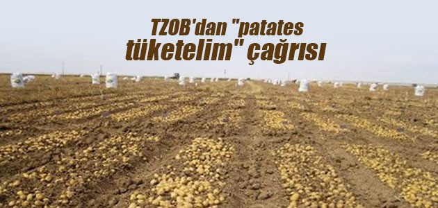 TZOB’dan “patates tüketelim“ çağrısı