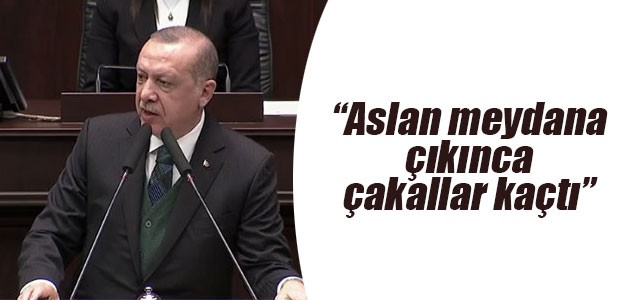 Cumhurbaşkanı Erdoğan: Aslan meydana çıkınca çakallar kaçtı