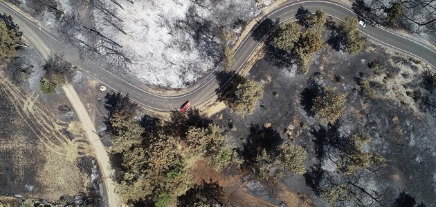 Antalya’daki orman yangınında kül olan 60 hektarlık alan havadan görüntülendi﻿﻿