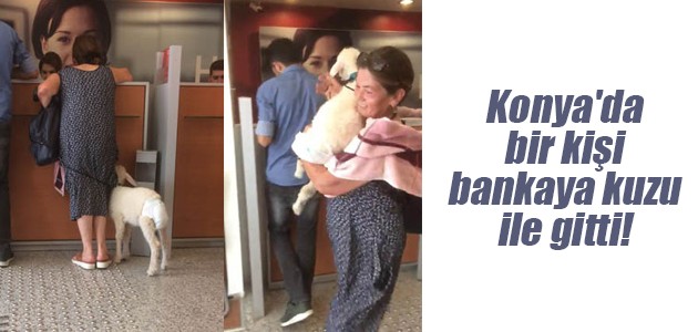 Konya’da bir kişi bankaya kuzu ile gitti!