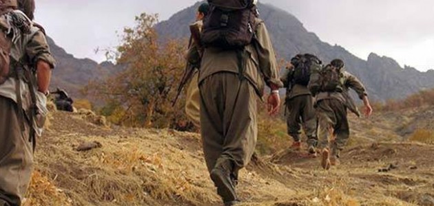 PKK’lı teröristler iki köylüyü katletti