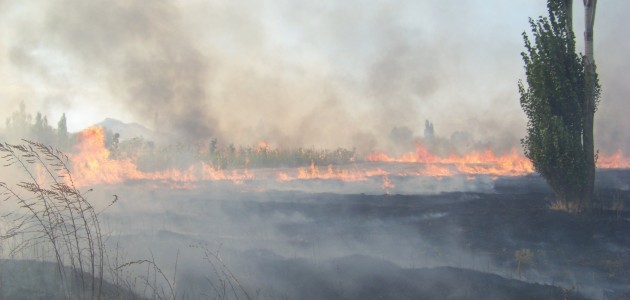 Konya’da anız yangını