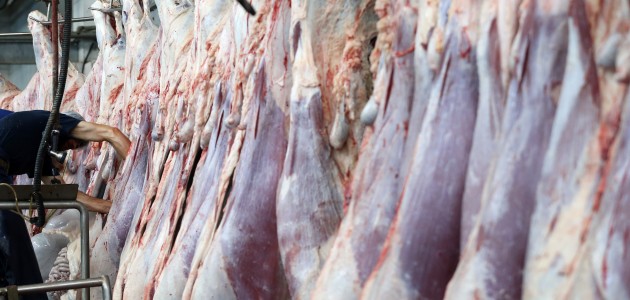 Kırmızı et üreticileri yükselen kesim fiyatlarından memnun