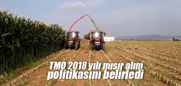 TMO 2018 yılı mısır alım politikasını belirledi