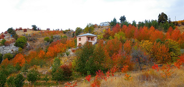 Toros Dağlarındaki Hadim’de sonbahar güzelliği