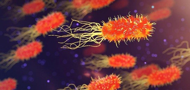 OECD’den ’antibiyotiklere dirençli bakteri’ uyarısı