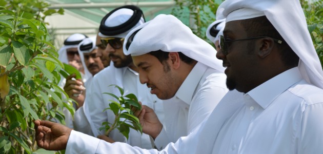 Katar’da Kur’an Botanik Bahçesi kuruldu