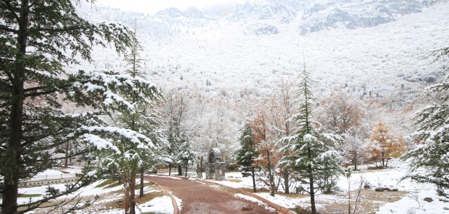 Kuğulu Park’ta kar güzelliği