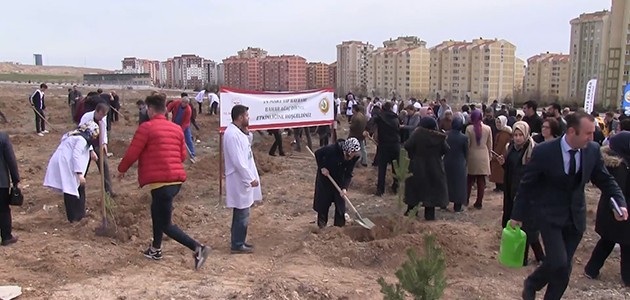Konya’da 3 bin fidan toprakla buluşturuldu