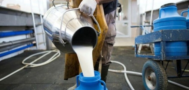 Çiğ süt desteklemelerine ilişkin esaslar belirlendi