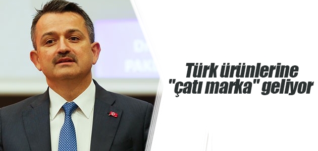 Türk ürünlerine “çatı marka“ geliyor