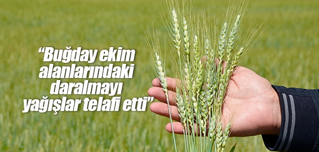 Özkan Taşpınar: Buğday ekim alanlarındaki daralmayı yağışlar telafi etti