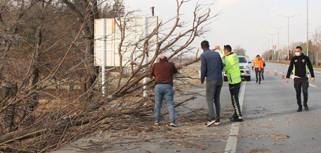 Karaman-Konya yolunda şiddetli rüzgar ağaçları devirdi