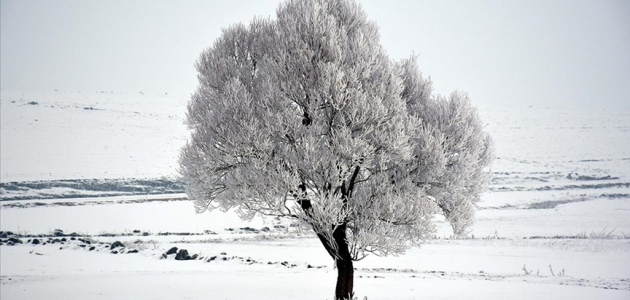 Doğu Anadolu’nun en soğuk kenti sıfırın altında 32 dereceyle Ağrı oldu