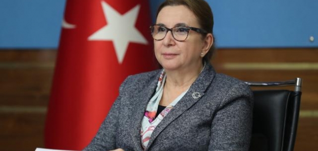 Bakan Pekcan: Türkiye-AB ilişkilerinde pozitif gündem için fırsat mevcut 