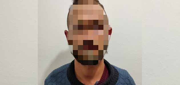 Türkiye'ye yasa dışı yollardan girmeye çalışan terörist yakalandı  