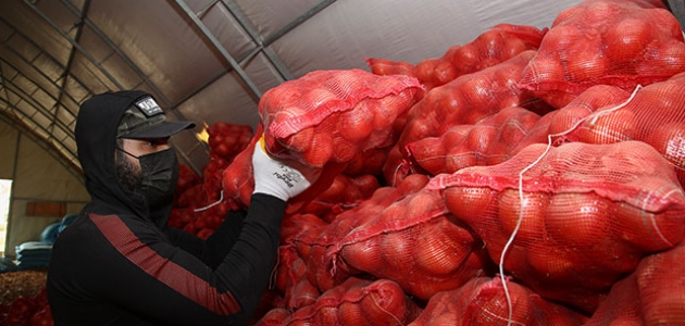 TMO, çiftçinin elinde kalan patates ve kuru soğanı maliyet fiyatına satın almaya başladı