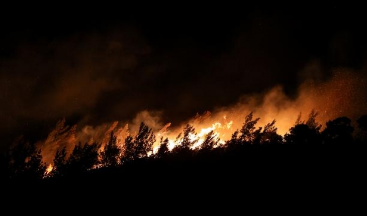 Foça’daki yangına çocukların neden olduğu açıklandı