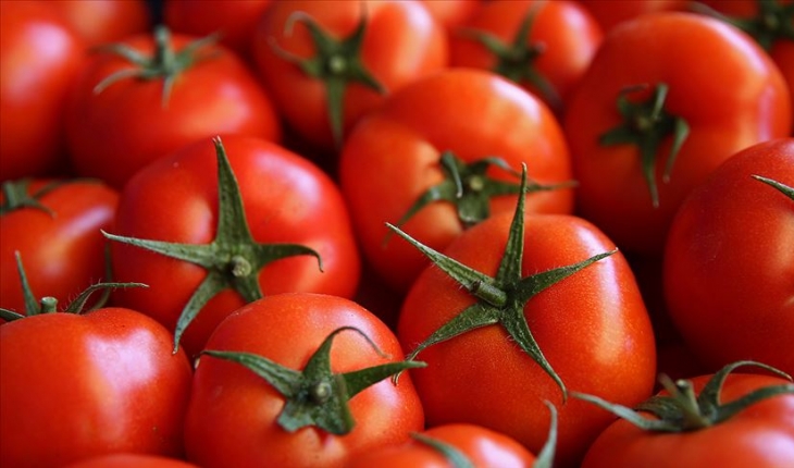 Türkiye'nin domates ihracatı arttı