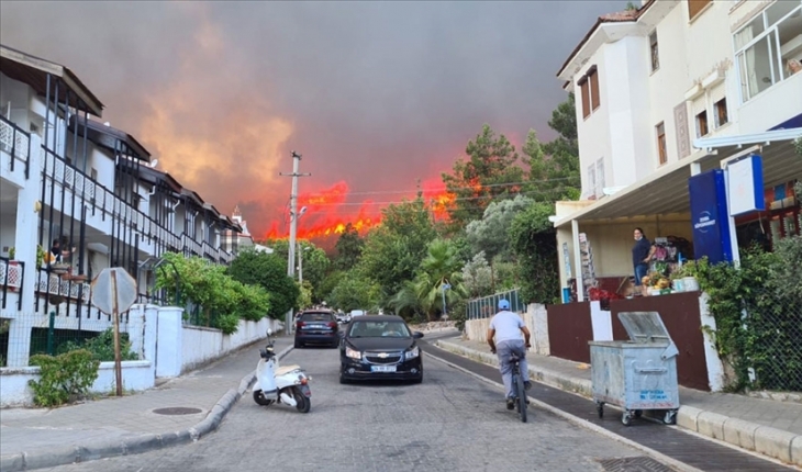 Marmaris ve Milas’ta ormanlık alanda yangın