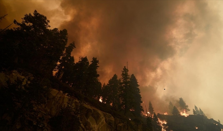 California’daki ’Caldor’ yangını 756 kilometrekare alanı tahrip etti