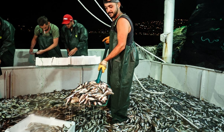 Hasret bitti: Balıkçılar ilk ağlarını çekti