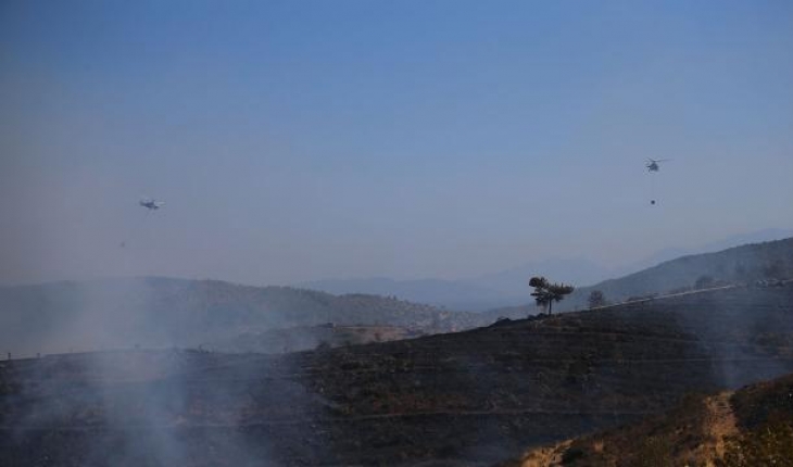 Bodrum’da çıkan orman yangını kontrol altında