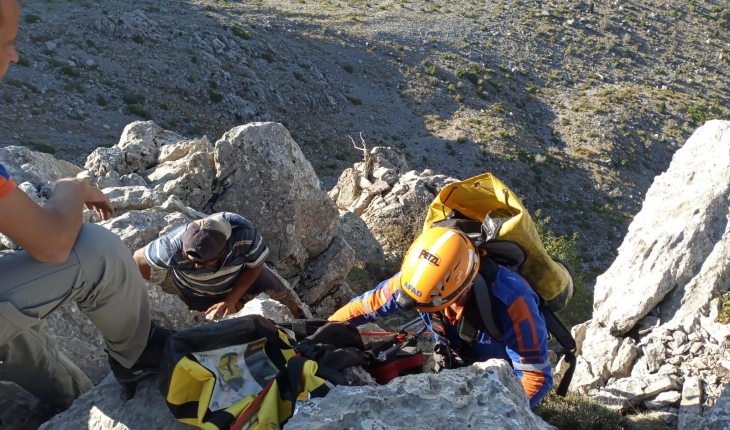 Kayalıklarda mahsur kalan oğlakları AFAD kurtardı