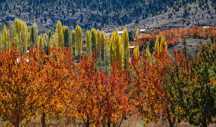 Orta Toros Dağlarında sonbahar renkleri görenleri büyülüyor