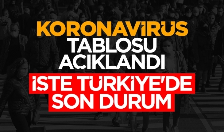 Türkiye’de 23 bin 948 kişinin Kovid-19 testi pozitif çıktı, 201 kişi hayatını kaybetti