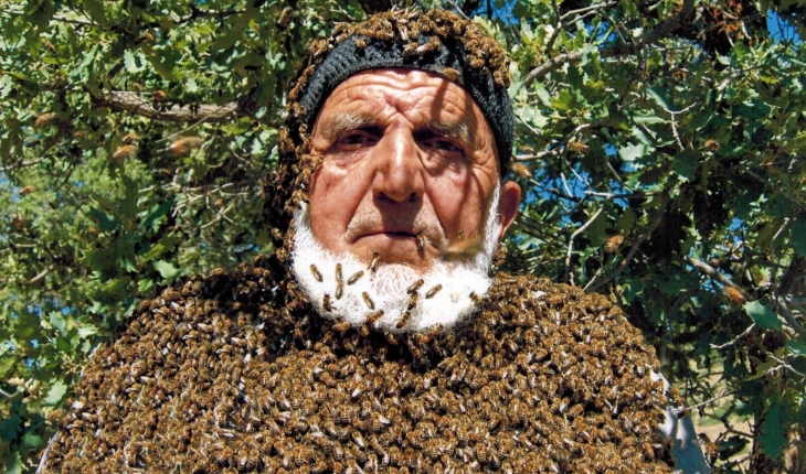 Üzerine 50 bin arı konuyor, maskesiz çalışıyor