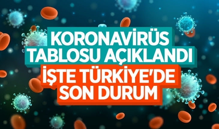 6 Aralık Koronavirüs Tablosu açıklandı
