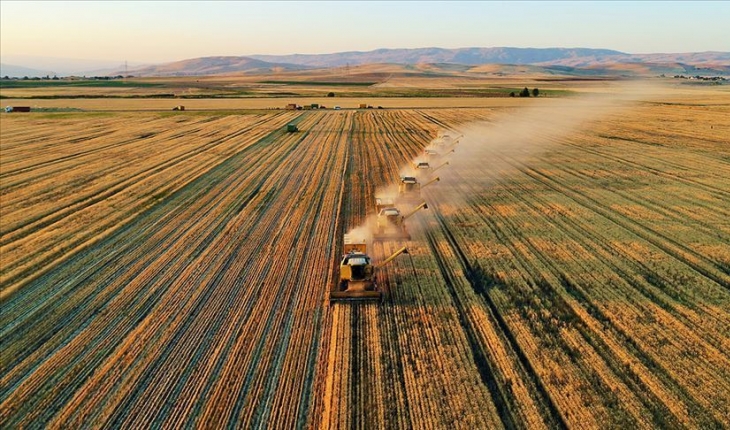 TÜİK, Tarım-ÜFE yıllık verilerini açıkladı
