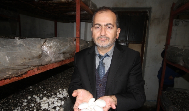 Beyşehir'de kültür mantarı yetiştiriciliği yaygınlaşıyor
