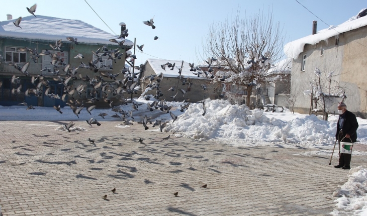 Yalıhüyük’te yaşlı kişi kış aylarında güvercinleri besliyor