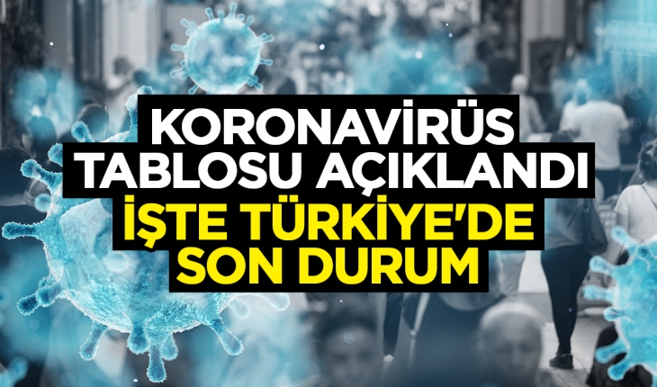 1 Ocak Türkiye’de koronavirüs tablosu